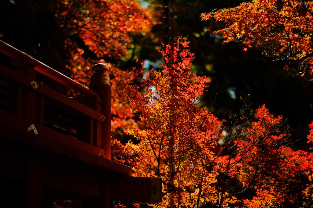 紅葉の毘沙門堂