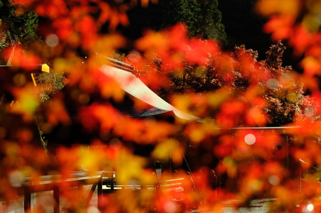 紅葉の日向大神宮