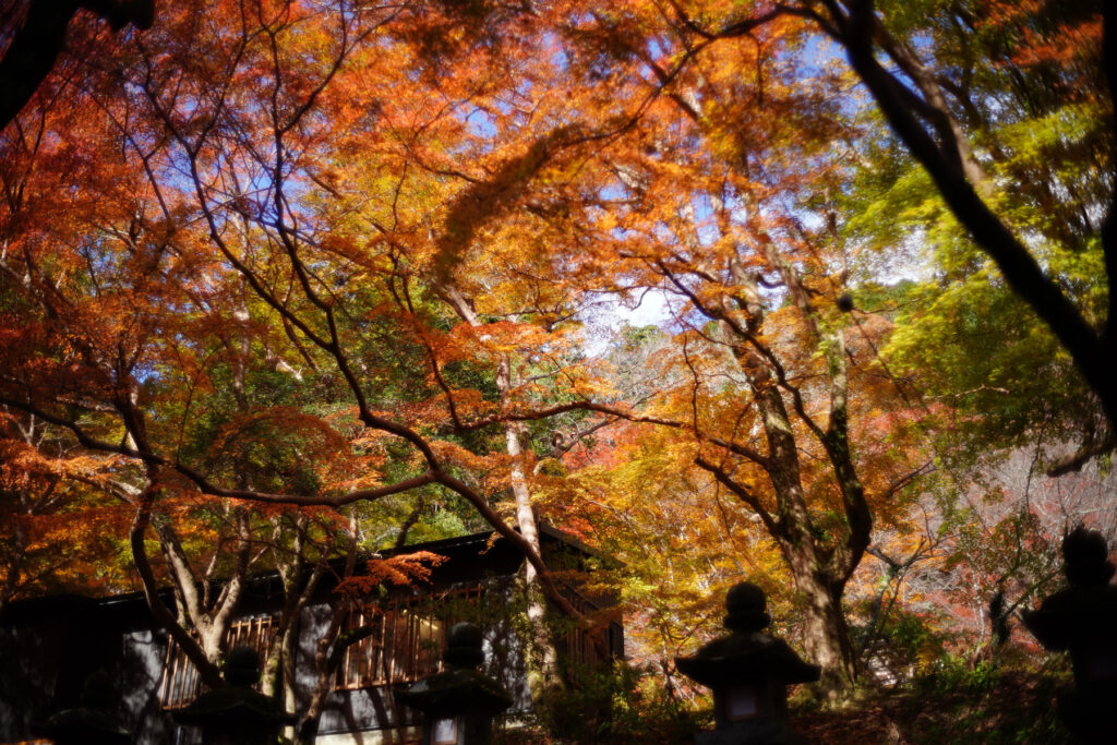 秋の談山神社ほか