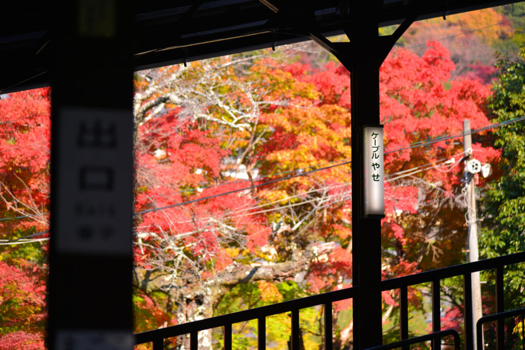 秋の比叡山