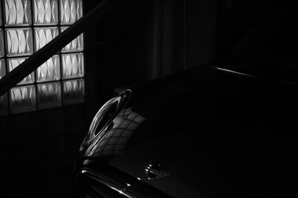 MONOCHROME SNAPS2