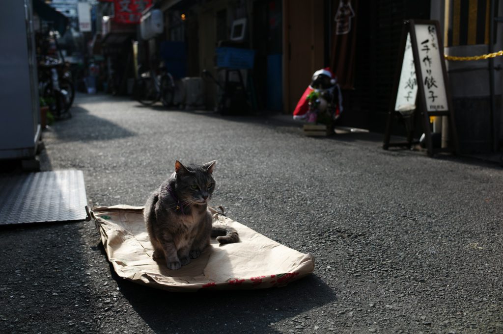 年の瀬の山科