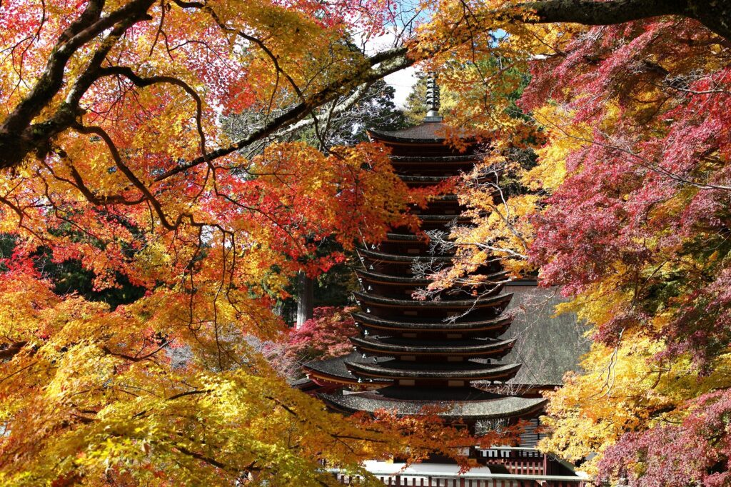 秋の談山神社ほか その２