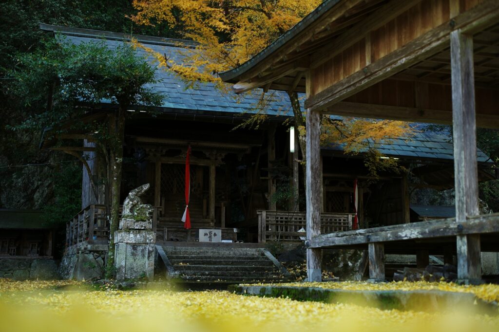 晩秋、落葉神社ほか