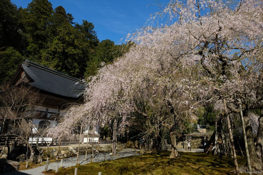 tak1904_Kyoto07.jpg