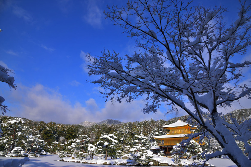 金閣寺０２