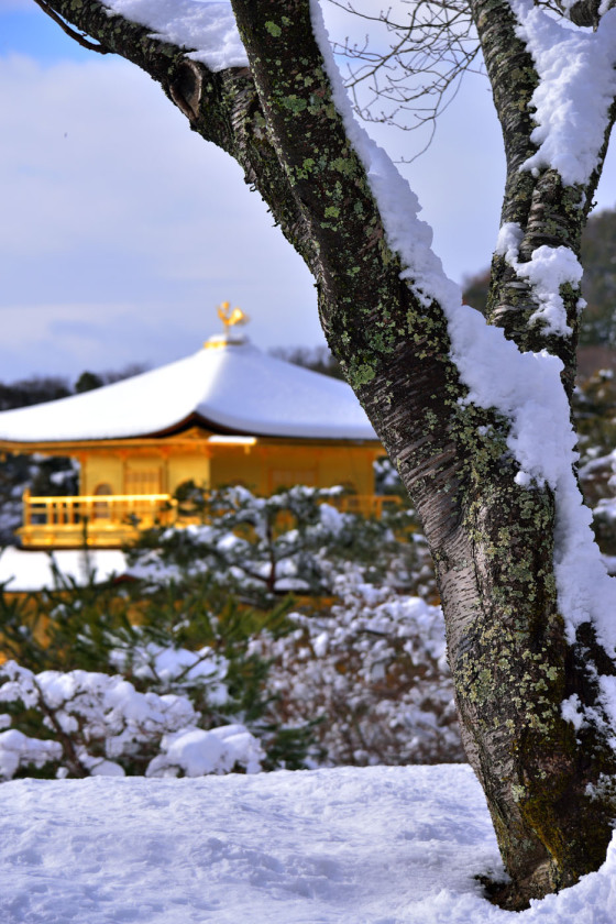 金閣寺05