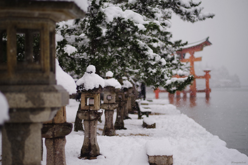 tak1701_Miyajima03.jpg