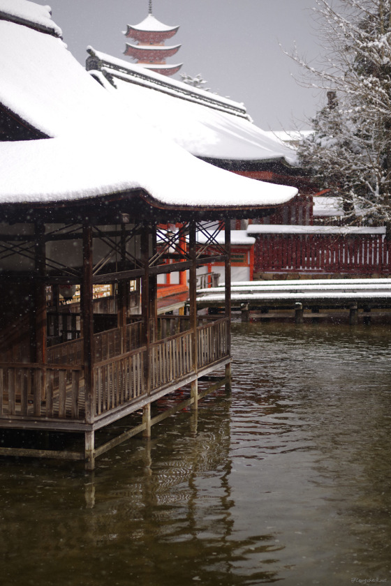 tak1701_Miyajima04.jpg