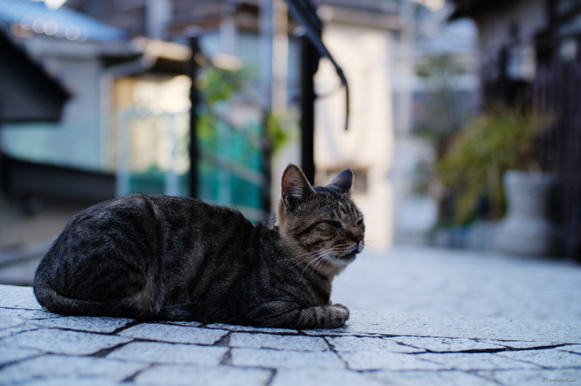 tak1709_Onomichi01.jpg