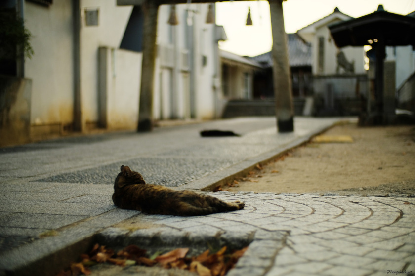 tak1709_Onomichi04.jpg