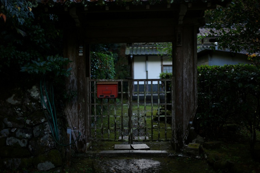 L1062830.JPG