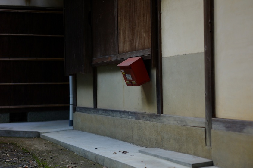 L1063453.JPG