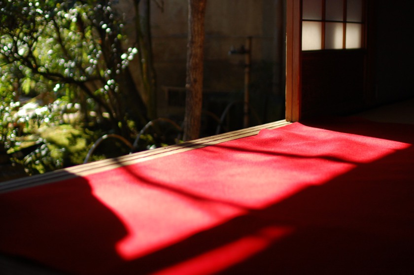 嵐山20151230_3