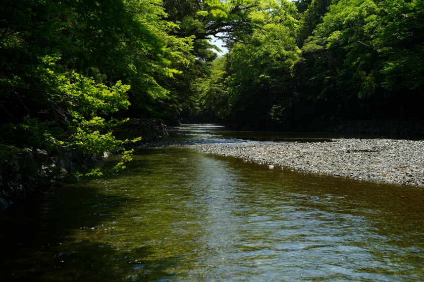 L1064215.JPG