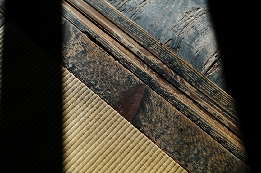 L9805050.JPG