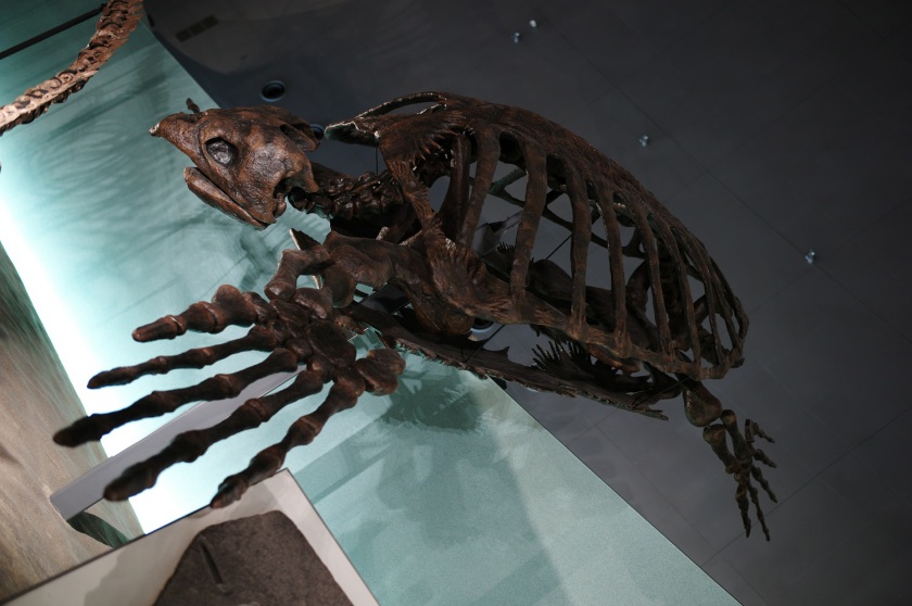 L9806670.JPG
