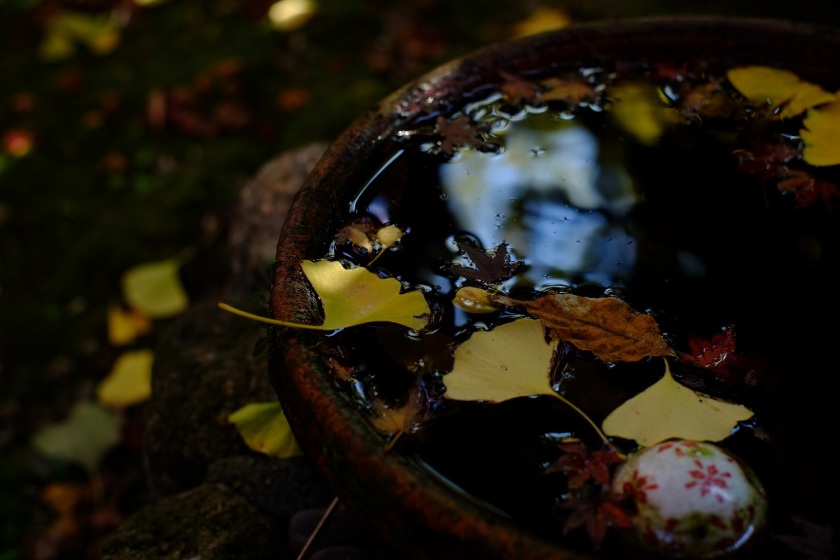 DSCF6094.JPG