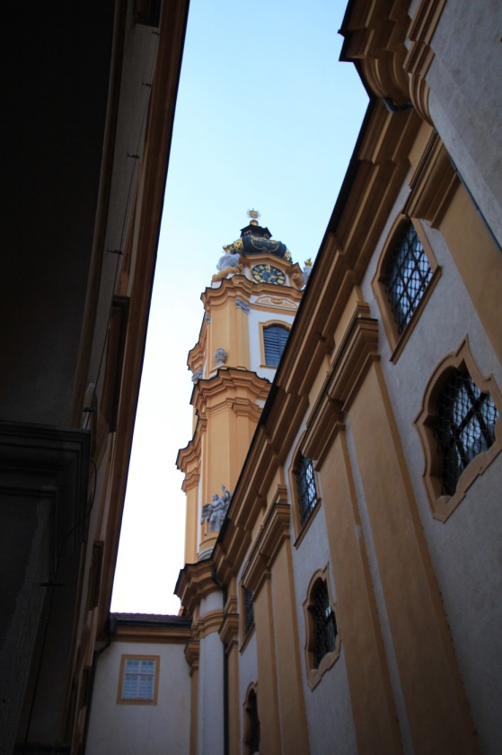 IMG_4487.JPG