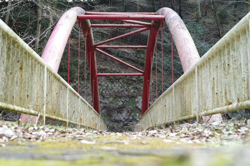 L1061217.JPG