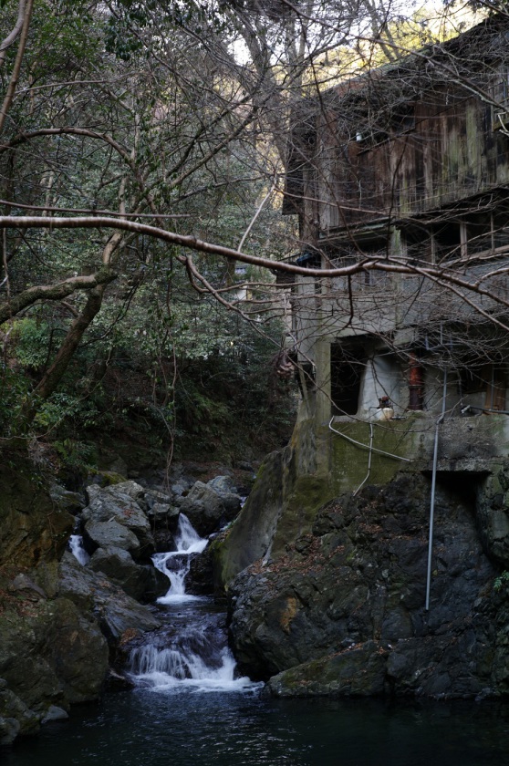 L1061239.JPG