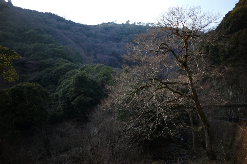 L1061263.JPG