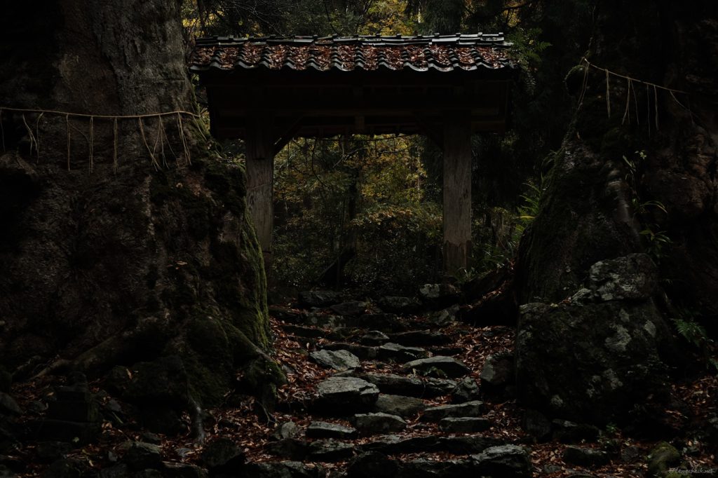 晩秋の湖北 その２